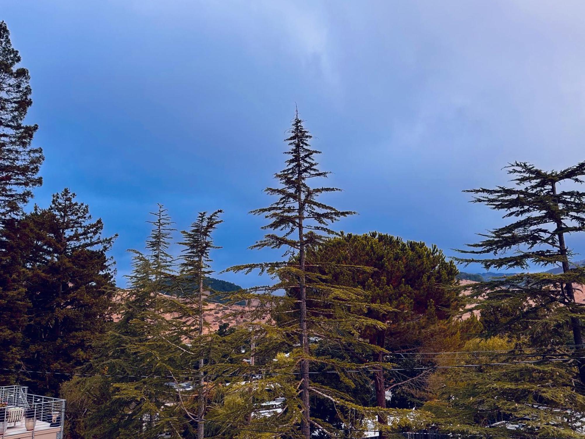 Luxury Suite With Views - San Rafael, Gateway To Sf & Wine Country Exterior foto